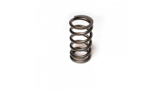 HAMILTON CAMS 07-S-003 VALVE SPRINGS 98.5-18 Cummins